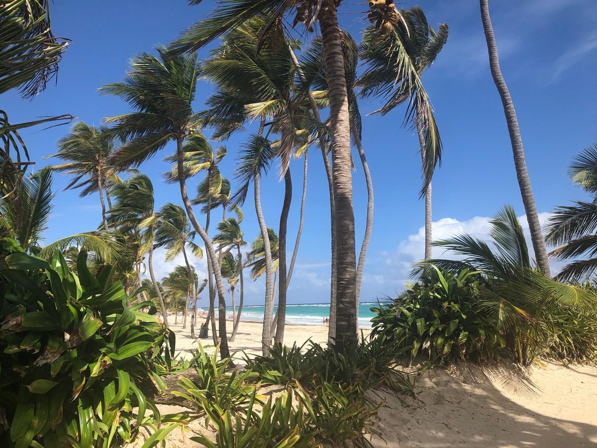 Terraza Art Villa Dominicana Punta Cana Bagian luar foto